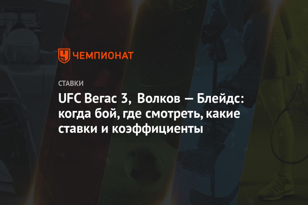 UFC  3,   :  ,  ,    
