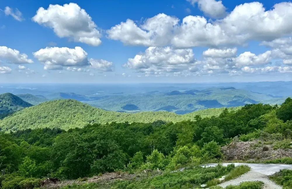 Гора Сассафрас
