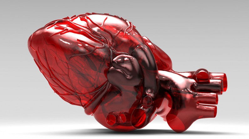 Технологии: 3D-модель сердца изменила жизнь девочки