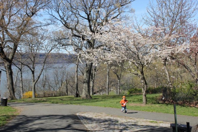 fort-tryon-park