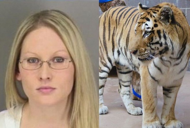 Популярное: Tigresa muerde la mano de mujer borracha después de que ella se colara en un zoológico para acariciar al animal