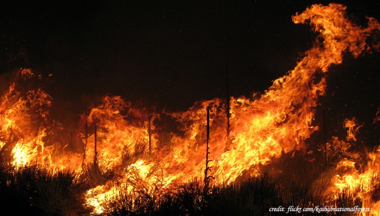 Происшествия: Шоссе Южной Калифорнии закрыты из-за разрушительного пожара