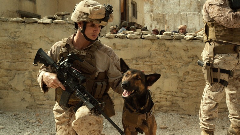 Популярное: Раненый военный пес Роки получил "Пурпурное сердце"