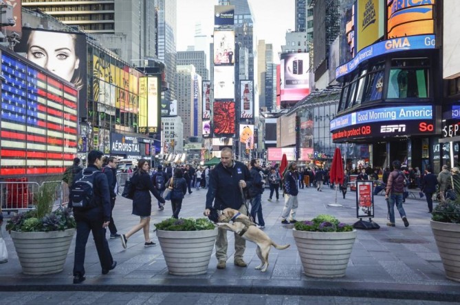 Популярное: На Таймс-сквер будут повышены меры безопасности в канун Нового года