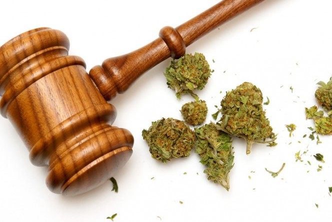 Общество: Верховный суд отказался рассматривать дело о запрете марихуаны в Колорадо