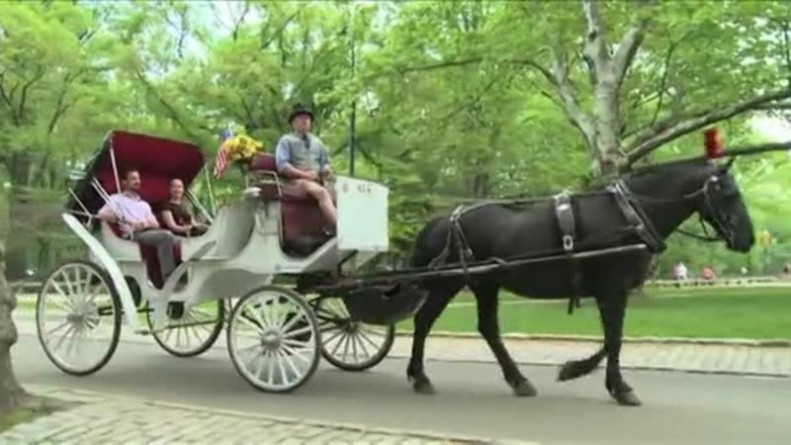 Развлечения: В Нью-Йорке достигнут компромисс относительно использования конных экипажей