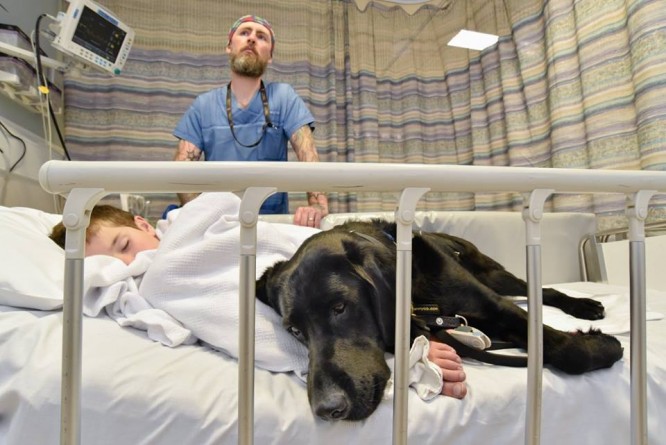 Популярное: Loyal dog won’t leave autistic boy’s side at hospital