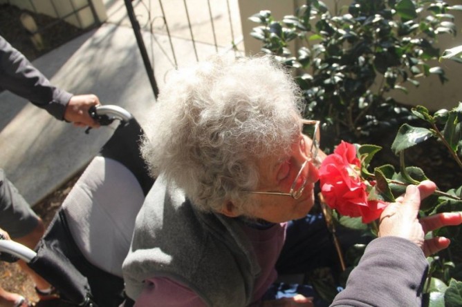 Путешествия: 90-летняя женщина отказалась лечиться от рака и отправилась путешествовать