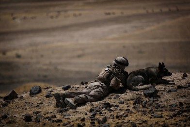 Lance Cpl. Daniel Franke, a dog handler attached to Alpha Company, 1st Battalion, 2nd Marine Regiment, Regimental Combat Team 2, lays in the prone on an overlooking hill with his dog, in Towrah Ghundey, June 11. The Marines posted on the hill soon received enemy contact and suppressed the enemy, causing them to retreat.