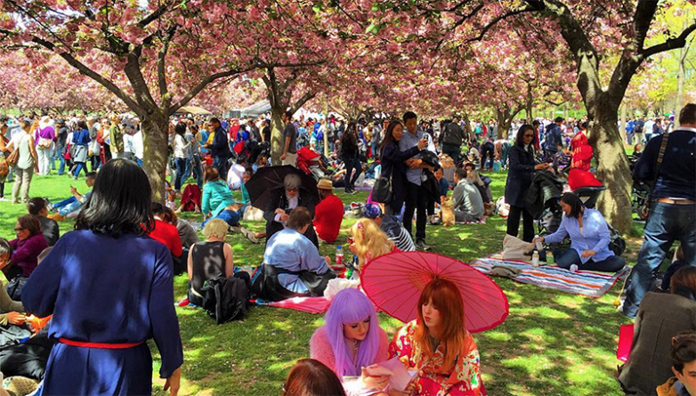 Досуг: Косплееры на фестивале Sakura Matsuri в Нью-Йорке (фото)