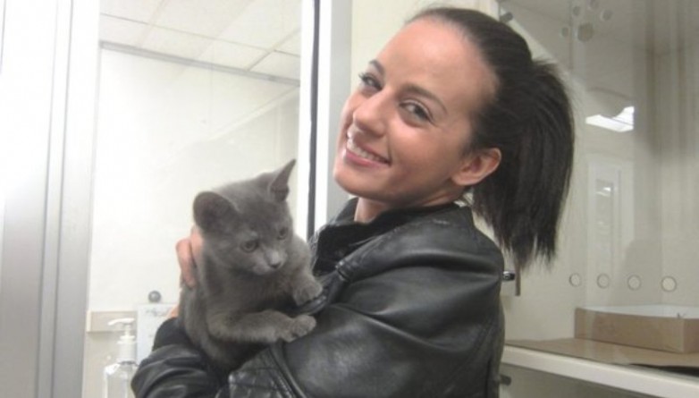 Видео: Офицер полиции забрала к себе одного из котят, которых она нашла в чемодане в Уильямсбурге