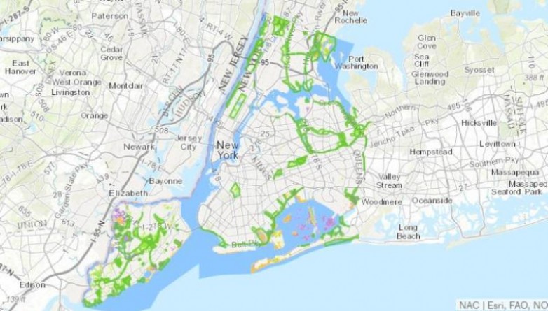 Досуг: С помощью этой карты вы можете узнать, где в Нью-Йорке есть дикие зелёные островки
