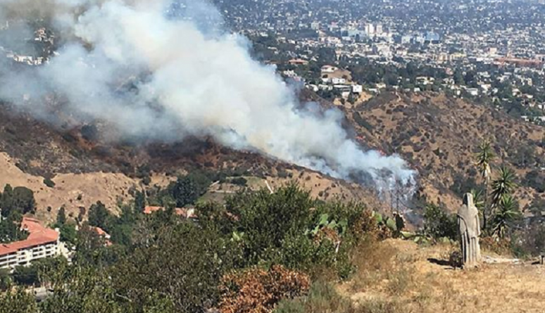Происшествия: Голливудские холмы горят