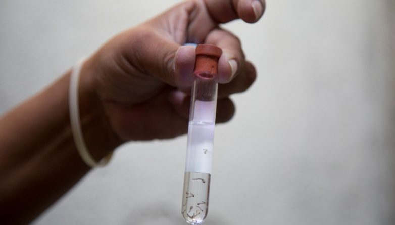 Общество: В США зарегистрировали первую смерть от вируса Зика