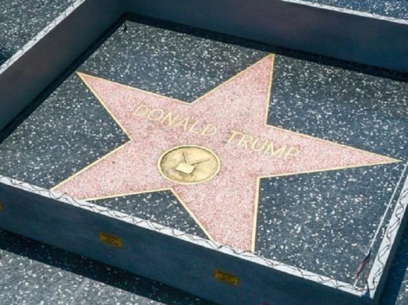 Происшествия: Вокруг звезды Дональда Трампа на Голливудской аллее славы появилась бетонная стена