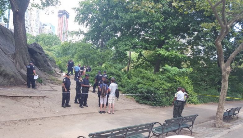 Происшествия: Людей эвакуировали из Центрального парка после того, как мужчине оторвало стопу взрывом