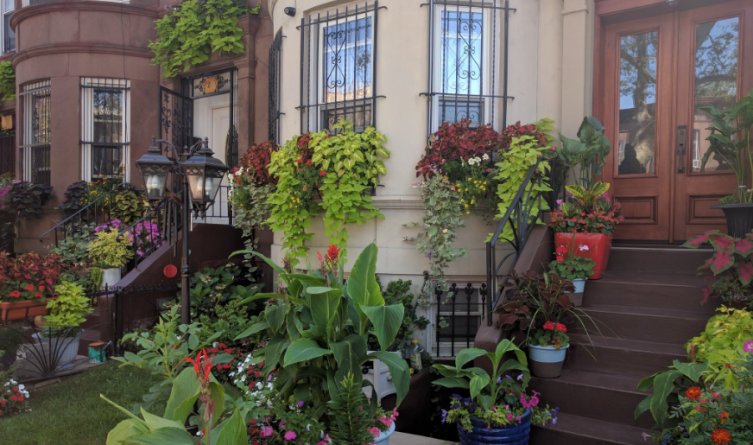 Популярное: Назван "самый зеленый" квартал Бруклина