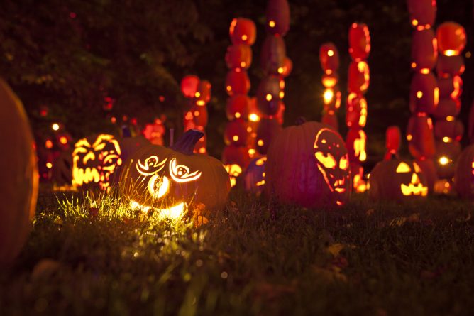 Досуг: Хэллоуинское настроение в Нью-Йорке: выставка The Great Jack O’Lantern Balze