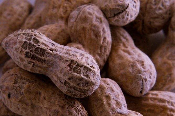 Общество: Чудо-пластырь поможет детям справиться с аллергией на арахис