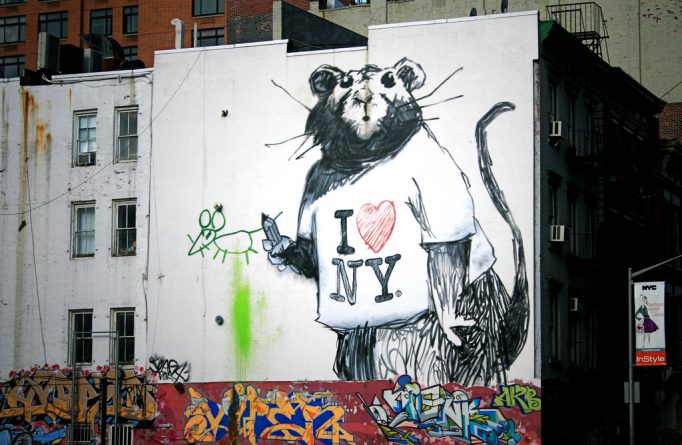 Общество: Нью-Йорк вошел в список городов с наибольшим количеством крыс