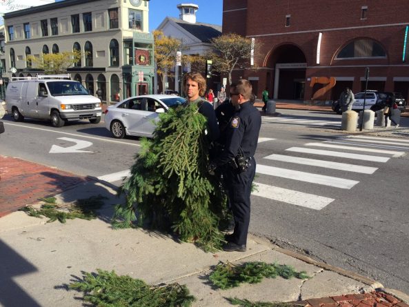 Происшествия: В Портленде арестовали «человека-дерево»