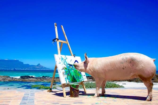 Искусство: Свинка-художница покоряет мир искусства