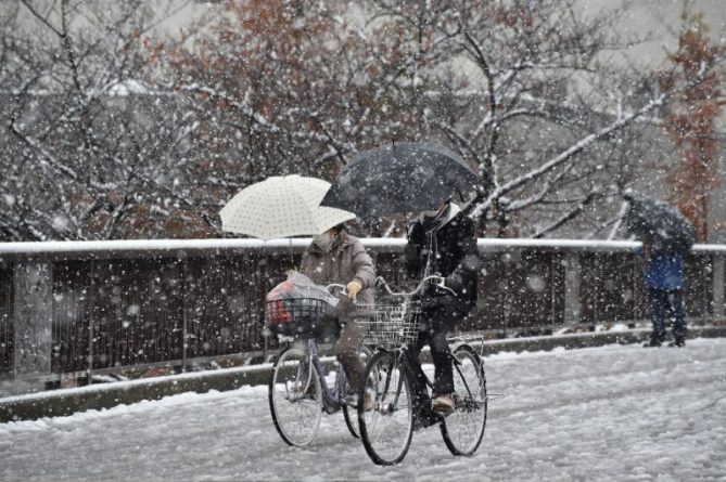 В мире: Впервые за 54 года Токио увидел первый снег в ноябре
