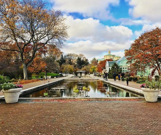 Досуг: Зимой вход в Ботанический сад Бруклина будет бесплатным