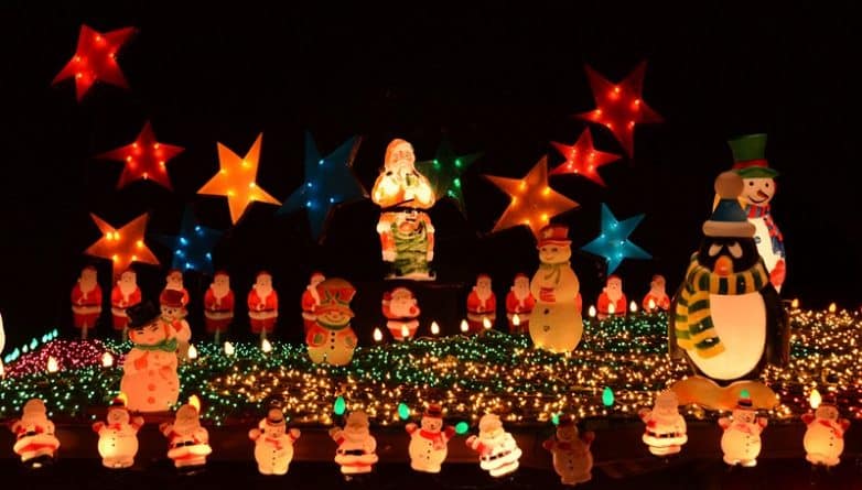 Происшествия: Нью-йоркский Гринч крадет рождественскую иллюминацию в Staten Island