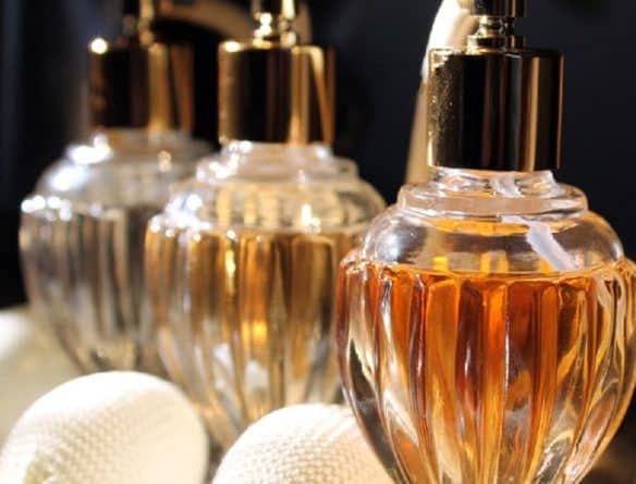 Наука: Инновации в парфюмерии: аромат вымерших растений