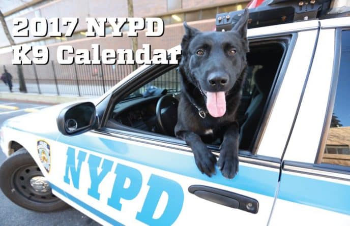 Общество: Департамент полиции выпустил календарь, который безумно мил