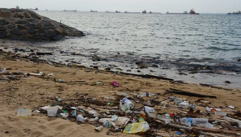 Здоровье: Любители морепродуктов съедают тысячи кусочков пластика ежегодно