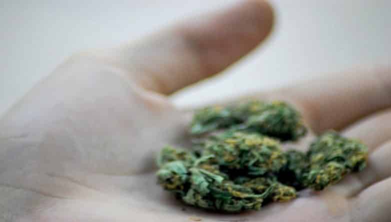 Закон и право: Куомо предлагает отменить уголовную ответственность за хранение марихуаны