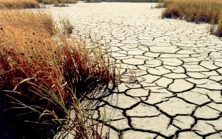 Популярное: Обильные осадки положили конец пятилетней засухе в Калифорнии