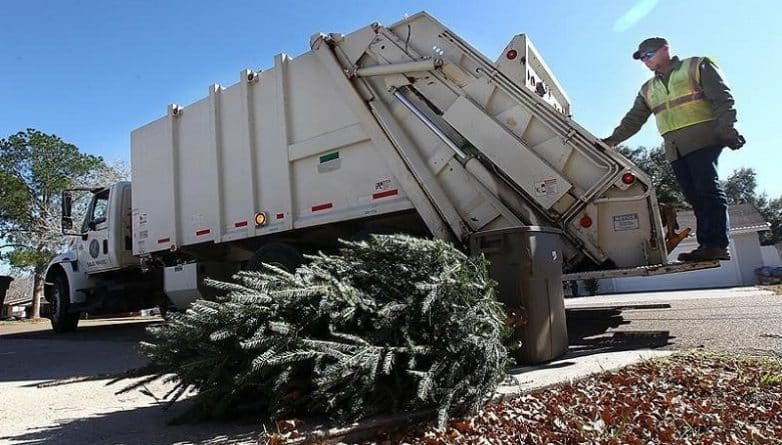 Полезное: Санитарный департамент Нью-Йорка начинает сбор использованных рождественских елок