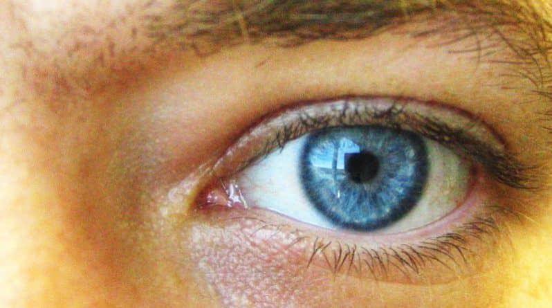 Наука: Ученые из Кентукки установили связь между талантом и цветом глаз