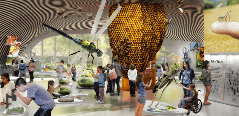 Досуг: В Музее естественной истории появится галерея насекомых