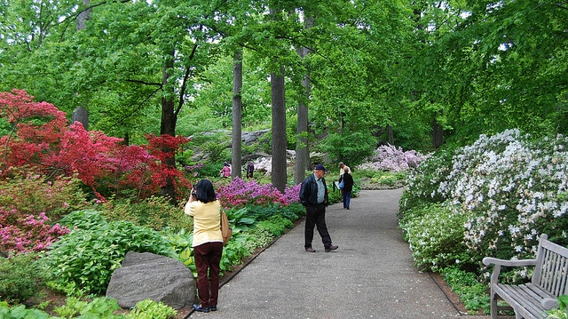 Факты о Ботаническом саде Нью-Йорка, которые вы наверняка не знали рис 2