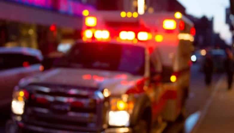 Происшествия: 5-летний мальчик из Бруклина в критическом состоянии после нападения двух питбулей