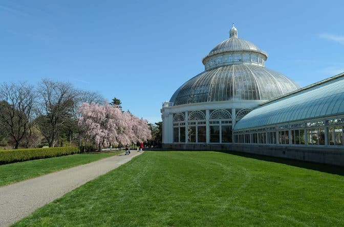 Досуг: Факты о Ботаническом саде Нью-Йорка, которые вы наверняка не знали