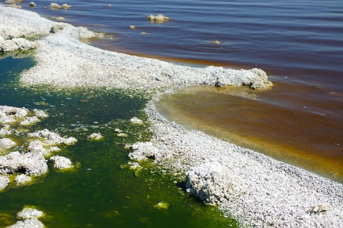 Общество: Спасение озера Salton Sea: 338 миллионов долларов на борьбу с осушением