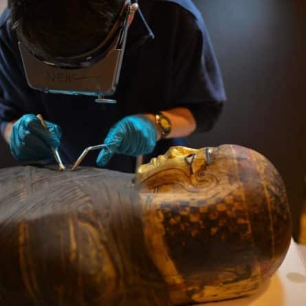 Досуг: В Американском музее естественной истории открывается выставка, посвященная мумиям
