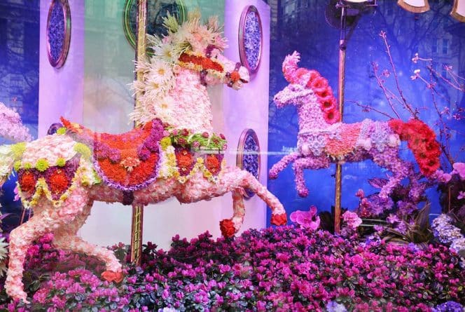 Досуг: Еще немного о выставке цветов Macy’s Flower Show (фото)