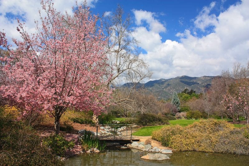 5 волшебных японских садов Лос-Анджелеса рис 3