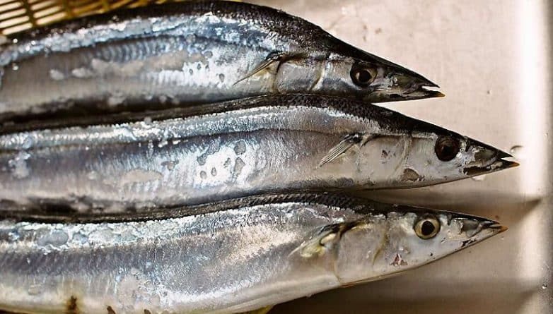 Полезное: Нью-йоркцев просят не покупать соленую рыбу в продуктовом магазине Бруклина