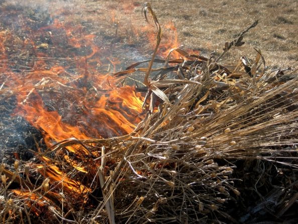 Происшествия: Пожар в Лос-Анджелесе: 15 гектаров растительности уничтожено огнем