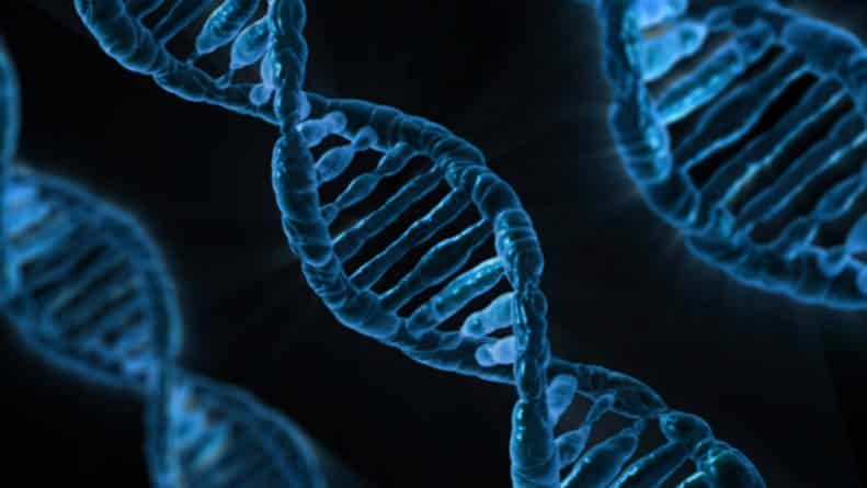 Здоровье: Борьба с раком: будущее за генной инженерией