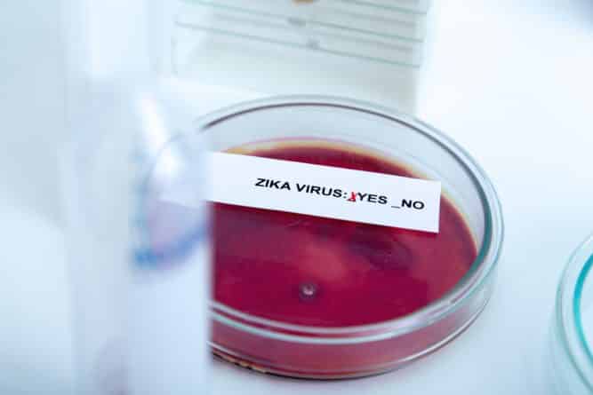 Общество: У десятков новорожденных в Нью-Йорке обнаружили вирус Зика