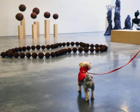 В Манхеттене пройдет арт-выставка для собак