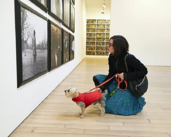 Афиша: В Манхеттене пройдет арт-выставка для собак
